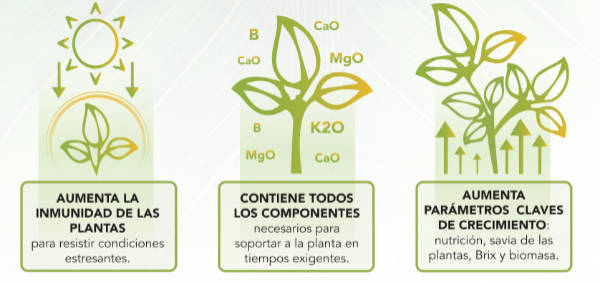 Bioestimulante Cleopatra de FMC / agroautentico.com