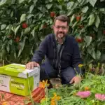 Bombus Nova, colmena de abejorros de Entonova / agroautentico.com