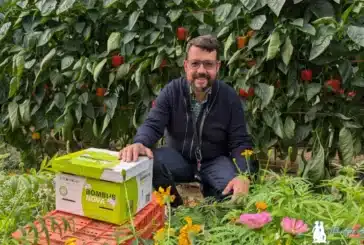 Entonova amplía catálogo y entra en las colmenas de abejorros