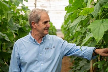 BASF | Nunhems ofrece el doble de opciones para cultivar pepino en primavera