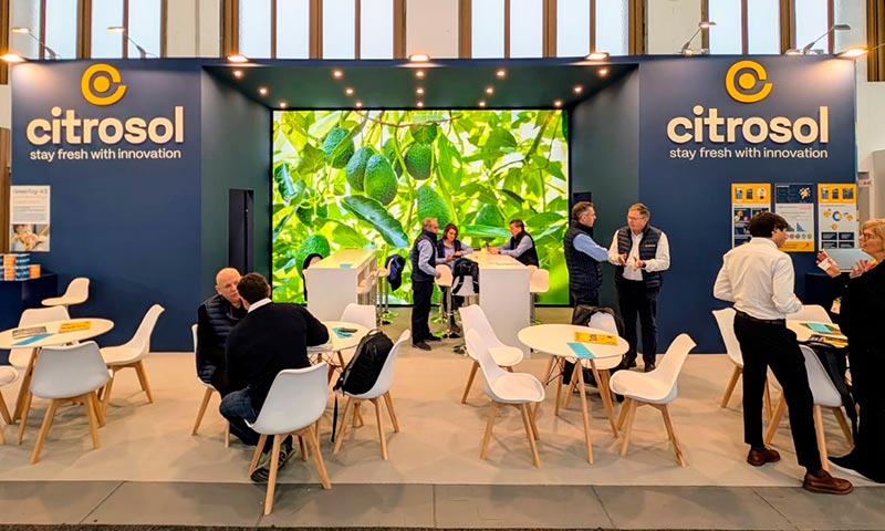 Citrosol presenta en Fruit Logística su tecnología para la conservación del aguacate 1