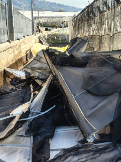 Daños en invernaderos de El Ejido provocados por la borrasca Oriana / agroautentico.com