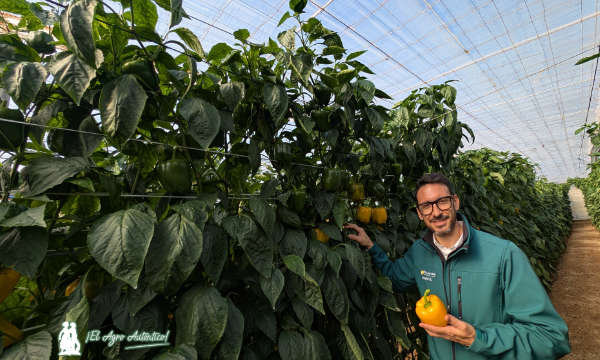 David González, delegado comercial de HM.Clause / agroautentico.com