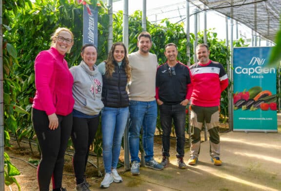 El nuevo pimiento Vigilante supera su prueba de fuego bajo lluvia y viento