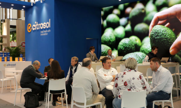Expositor de Citrosol en Fruit Logistica 2026. El aguacate gran protagonista / agroautentico.com