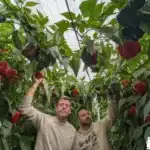 Germán Ureña y Álex Martín de Sur Seeds / agroautentico.com