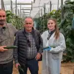 Germán y Luis Ruiz, padre e hijo, con Irene Sánchez, desarrollo en Hazera / agroautentico.com