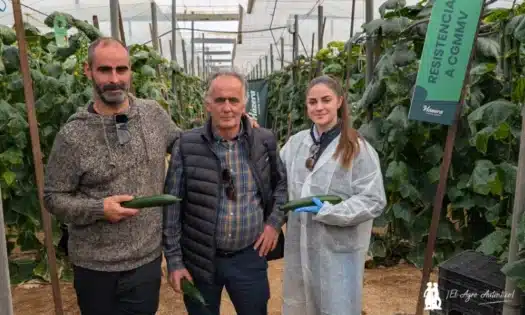 Germán y Luis Ruiz, padre e hijo, con Irene Sánchez, desarrollo en Hazera / agroautentico.com