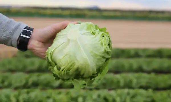 Bejo vuelve a abrir su finca El Aljibe 3