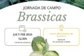 Día 5 de febrero. Jornada de brassicas de Takii Seeds y Cropexpert