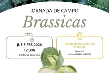 Día 5 de febrero. Jornada de brassicas de Takii Seeds y Cropexpert