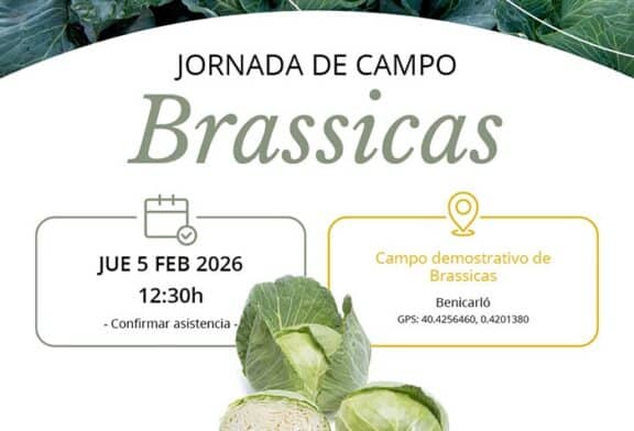 Día 5 de febrero. Jornada de brassicas de Takii Seeds y Cropexpert