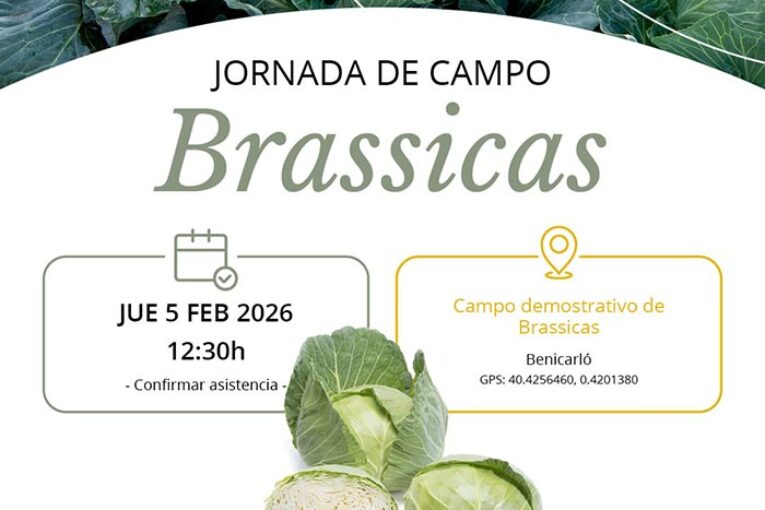 Día 5 de febrero. Jornada de brassicas de Takii Seeds y Cropexpert