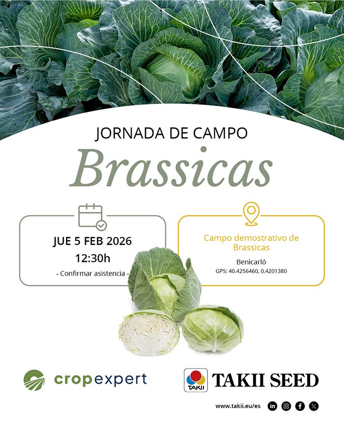 Día 5 de febrero. Jornada de brassicas de Takii Seeds y Cropexpert
