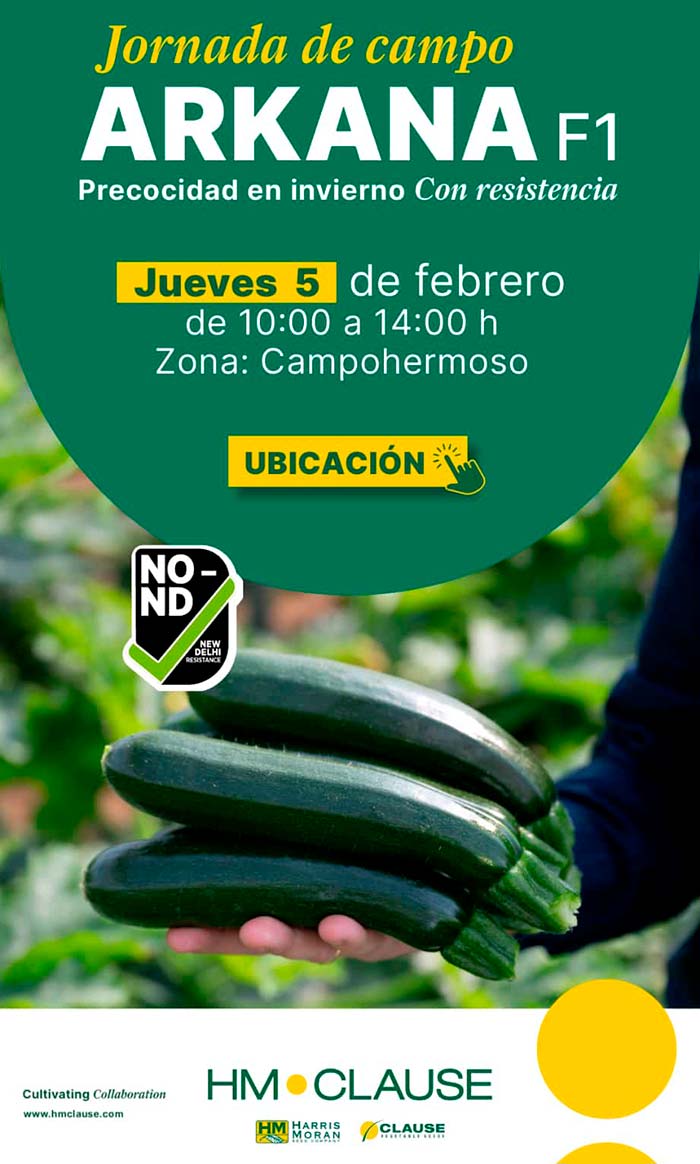 Día 5 de febrero. Jornada de calabacín Arkana de HM.Clause