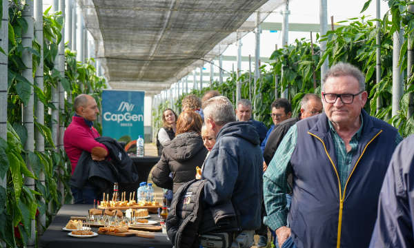 Jornadas de puertas abiertas de california rojo de CapGen Seeds / agroautentico.com