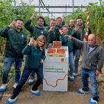 KWS enseña en Almería su primera variedad comercial de tomate 1