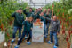 KWS enseña en Almería su primera variedad comercial de tomate