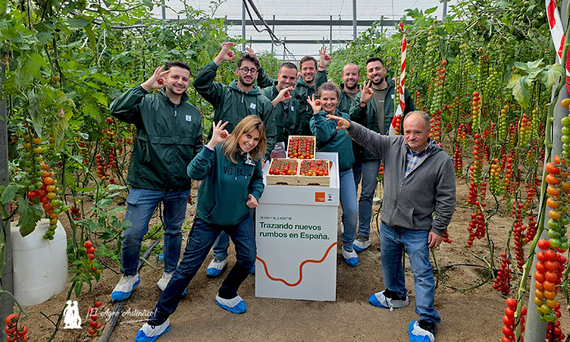 KWS enseña en Almería su primera variedad comercial de tomate