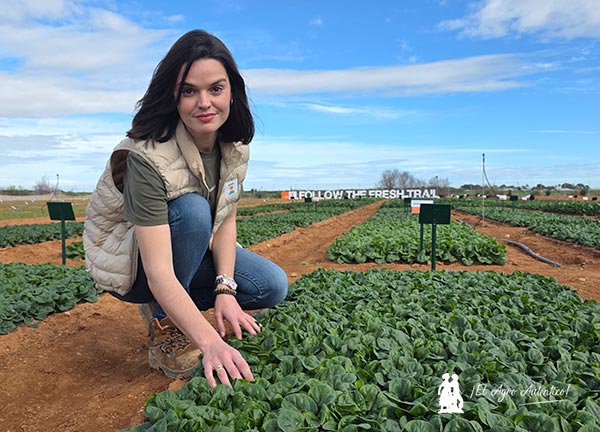 KWS redefine la forma de hablar de espinaca en su primera Leafy PopUp en Murcia 4