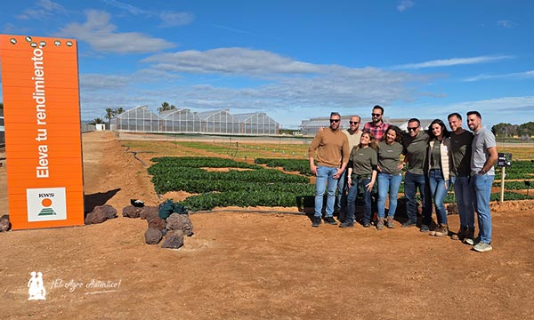 Lorena Sánchez, Account Manager de Espinaca de KWS Vegetables 5