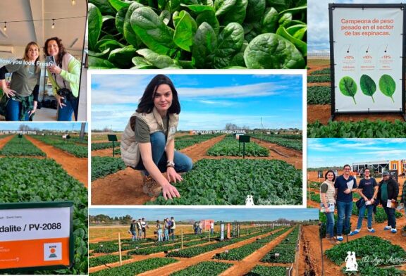 KWS redefine la forma de hablar de espinaca en su primera Leafy PopUp en Murcia