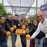 Nuevas variedades de pimiento de Vilmorin