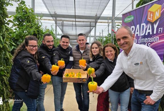 Las nuevas variedades de california de Vilmorin Mikado responden en su final de ciclo