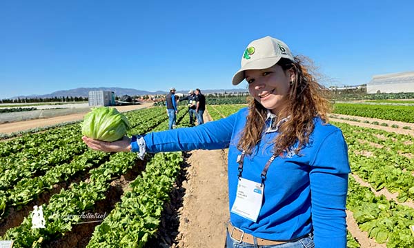 Iceberg de Ramiro Arnedo