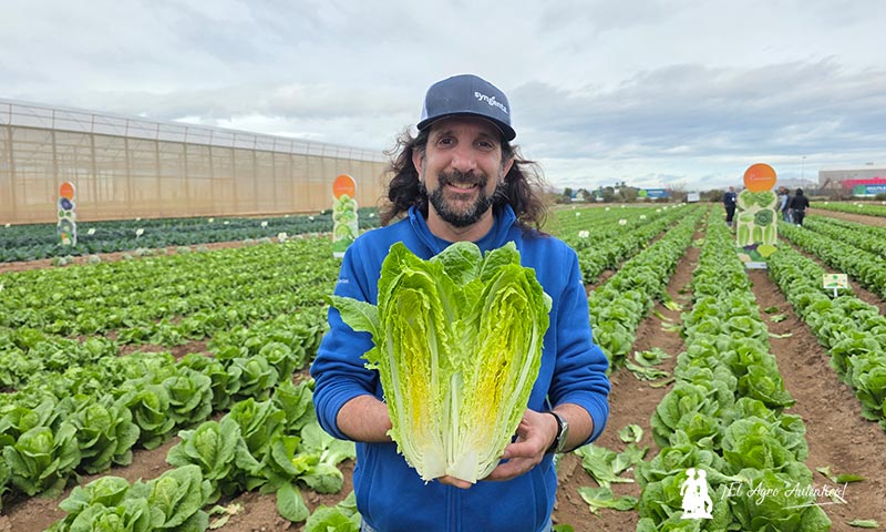 Syngenta adelanta la próxima generación de hoja y brásicas en Demo Days Salads 2026 10
