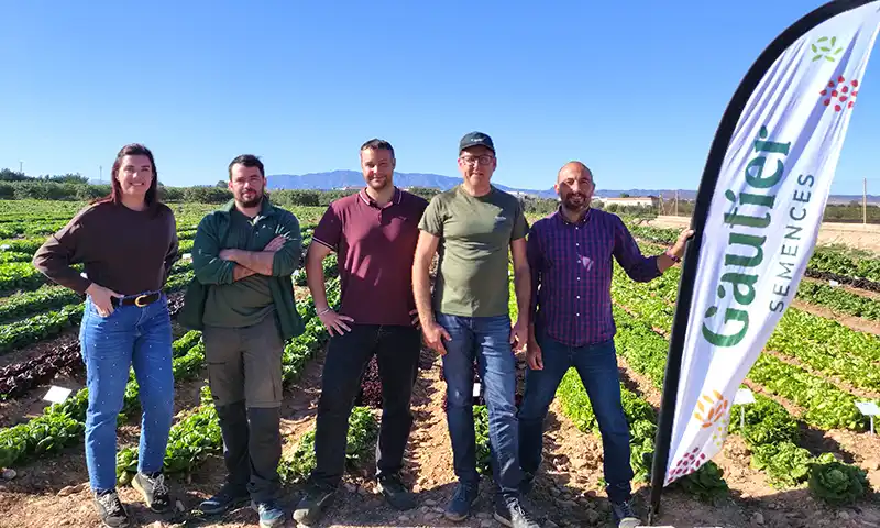 Los Discovery Days de Gautier en Cartagena dan respuesta a los desafíos de la lechuga 3