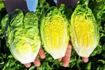 Bejo vuelve a abrir su finca El Aljibe, esta vez en marzo