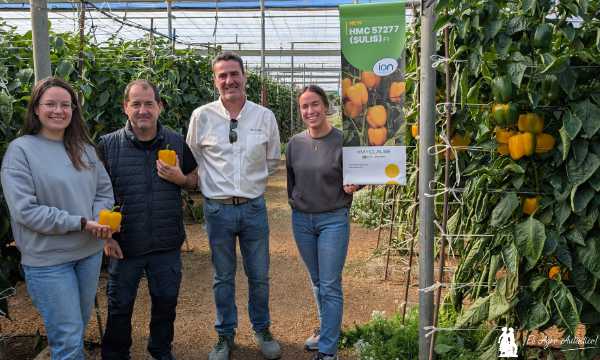 Paco Ibáñez, delegado de HM.Clause, con técnicos de Camposol: Cristina, Jorge y Andrea / agroautentico.com