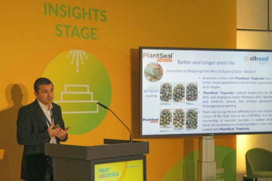 Citrosol reduce drásticamente en aguacate las mermas en origen y reclamaciones en destino