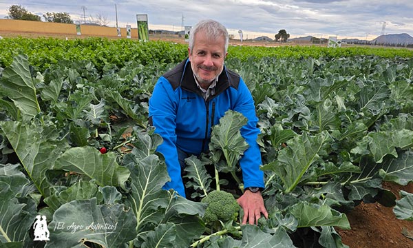 Brocoli Templario de Ramiro Arnedo