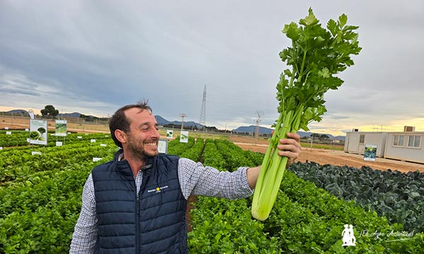 Apio de Ramiro Arnedo