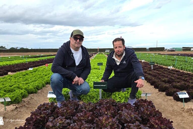 Más resistencias, vida útil, rendimientos y sabor en cultivos de invierno al aire libre