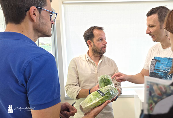 Innovación en hoja y brásicas de Rijk Zwaan