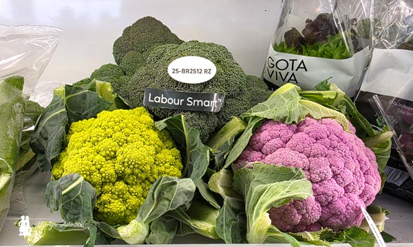 Innovación en Brásicas de Rijk Zwaan