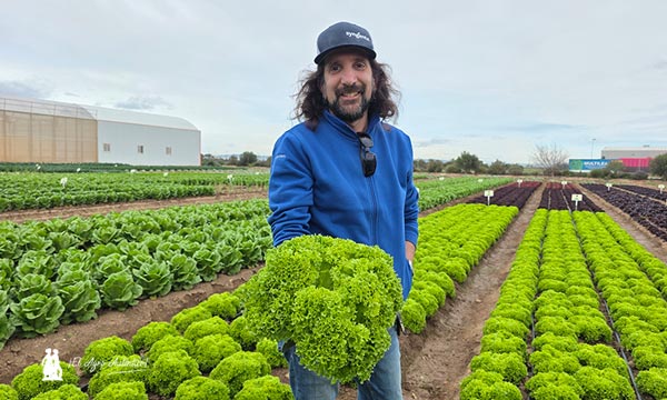 Syngenta adelanta la próxima generación de hoja y brásicas en Demo Days Salads 2026 2