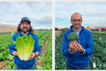 Syngenta adelanta la próxima generación de hoja y brásicas en Demo Days Salads 2026