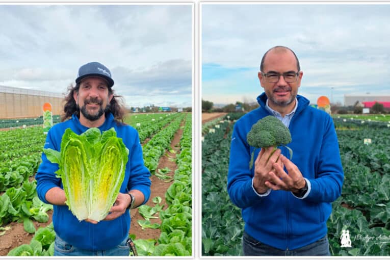 Syngenta adelanta la próxima generación de hoja y brásicas en Demo Days Salads 2026