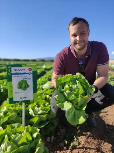 Los Discovery Days de Gautier en Cartagena dan respuesta a los desafíos de la lechuga 8