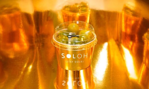 Unica Group presenta SOLOH, su nuevo tomate snack premium 2