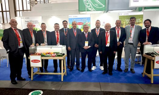 Vicasol presenta en Fruit Logística su nuevo sistema de robotización, premiado en Europa