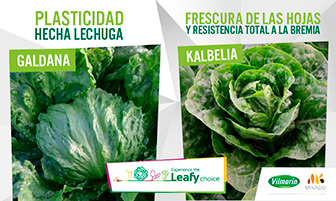 SIDE BAR 3 VILMORIN FEBRERO