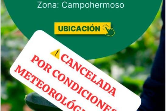 Día 5 de febrero. Jornada de calabacín Arkana de HM.Clause