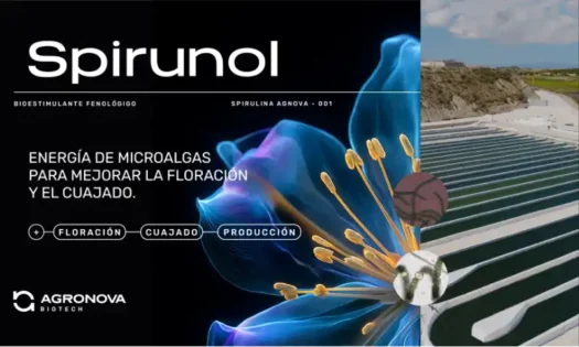 AGRONOVA Biotech lanza Spirunol con registro bioestimulante europeo y consolida su modelo de desarrollo biotecnológico integrado