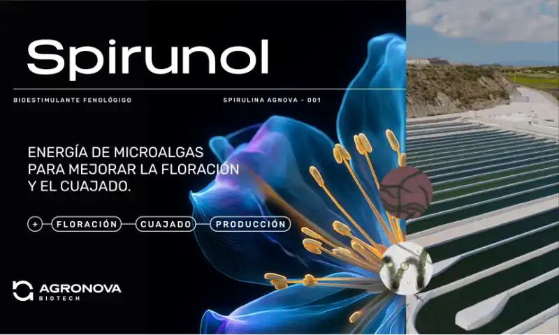 AGRONOVA Biotech lanza Spirunol con registro bioestimulante europeo y consolida su modelo de desarrollo biotecnológico integrado