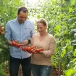 BASF | Nunhems enseña sus variedades y pies resistentes a rugoso en cuatro fincas demo / agroautentico.com